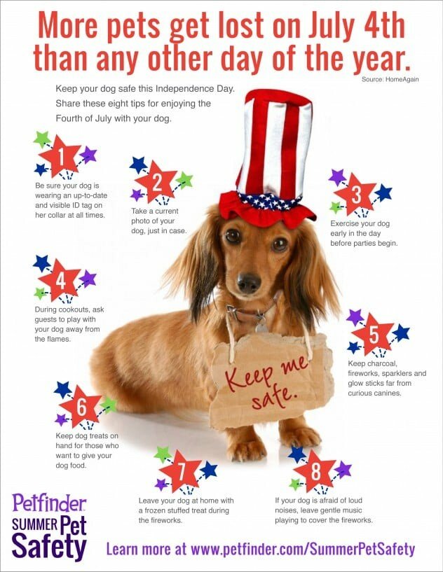 Protect your pets on the 4th!